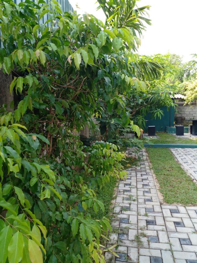 Thomasha Homestay 韦勒沃耶 外观 照片