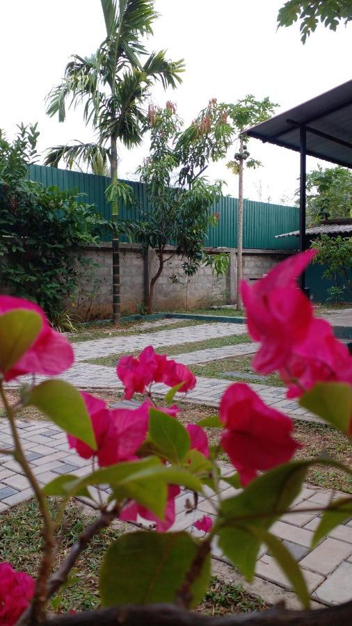 Thomasha Homestay 韦勒沃耶 外观 照片